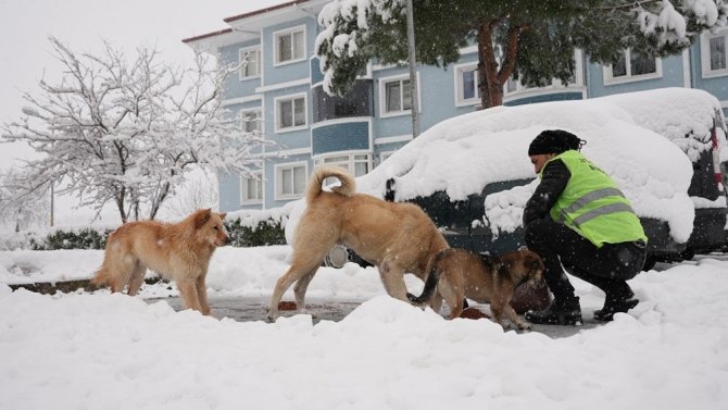 Yalova Belediyesi Kar Küreme Ve Tuzlama Çalışmalarını Sürdürüyor