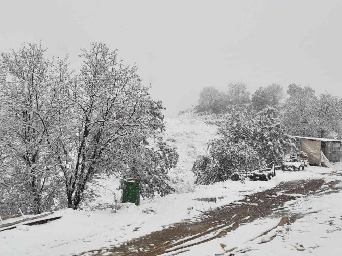 Sarıgöl’ün Üzüm Bağları Kar Altında Kaldı