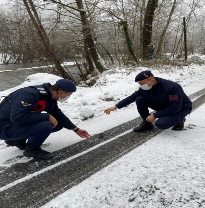 Donmak Üzere Olan Kızılgerdana Jandarma Şefkati