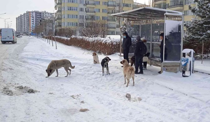 Afyonkarahisar Kar Altında