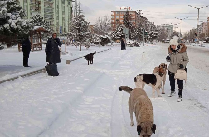 Afyonkarahisar Kar Altında