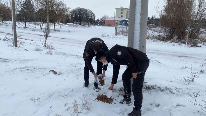 Polis Hem Devriye Gezdi Hem De Sokak Hayvanlarını Beslediler