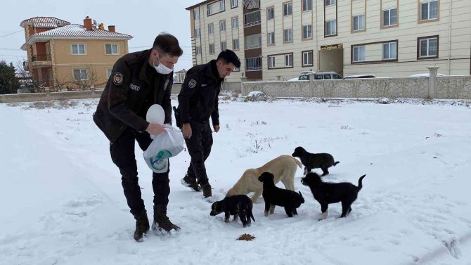 Polis Hem Devriye Gezdi Hem De Sokak Hayvanlarını Beslediler