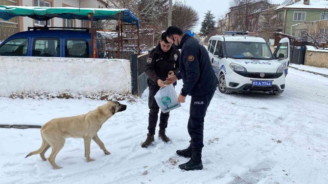 Polis Hem Devriye Gezdi Hem De Sokak Hayvanlarını Beslediler