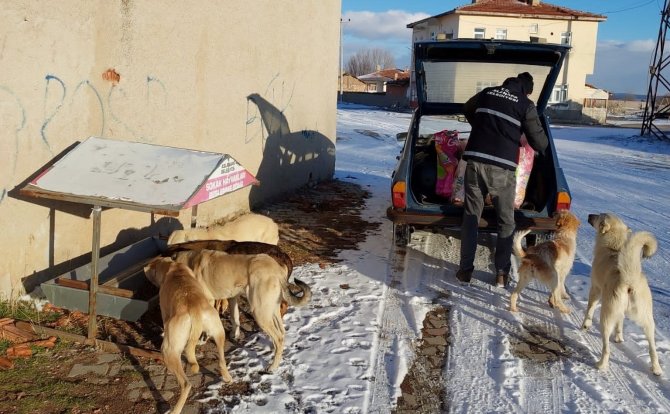 Aslanapa Belediyesi’nden Sokak Hayvanlarına Yem Ve Mama Desteği