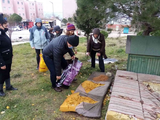 Bandırma Kent Konseyi Sokak Hayvanlarını Unutmadı