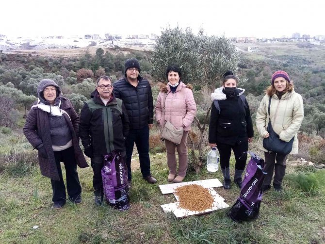 Bandırma Kent Konseyi Sokak Hayvanlarını Unutmadı