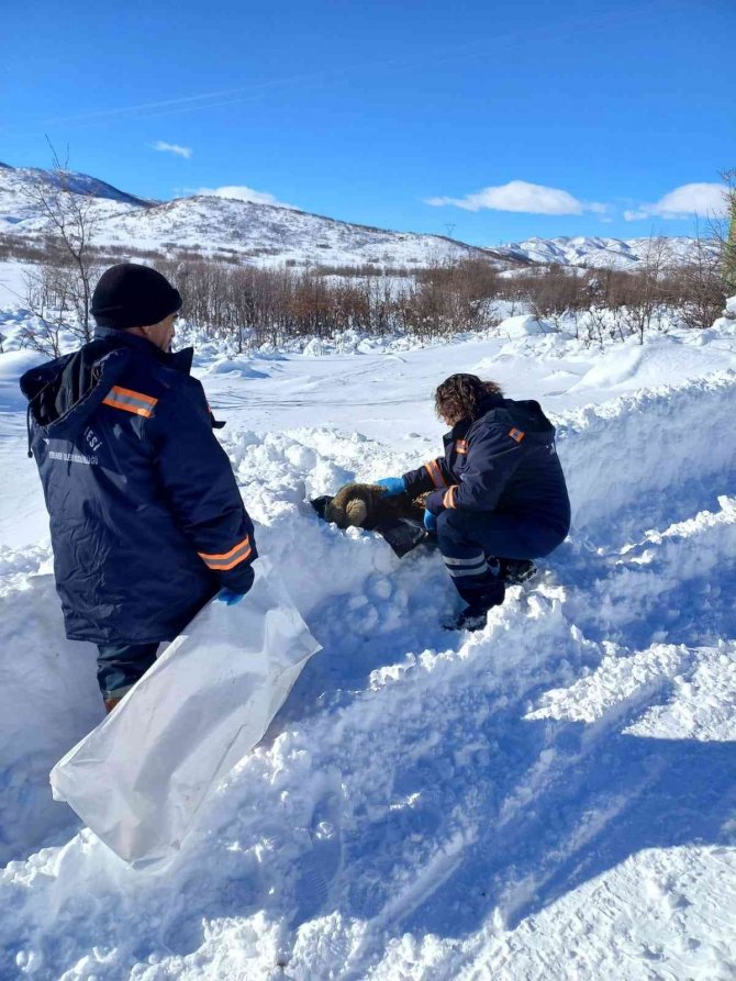 Bingöl’de Yaban Hayvanları İçin Doğaya Yem Bırakıldı
