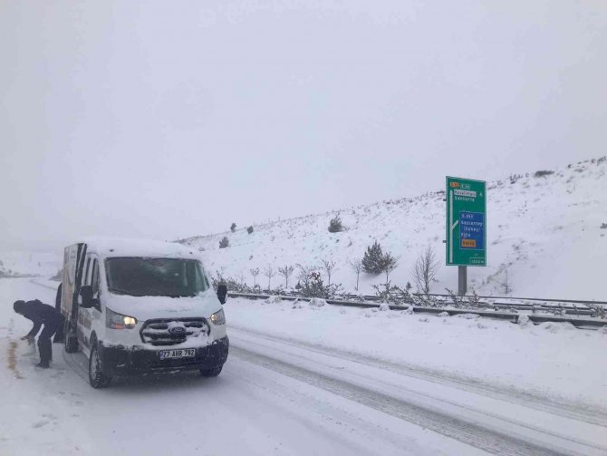 Büyükşehir Belediye Ekipleri Sokak Hayvanlarını Unutmadı
