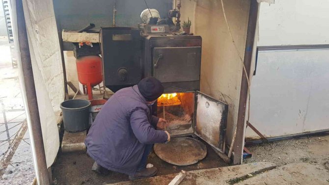 İ̇zmirli Çiçekçiler Zirai Don Nöbetinde