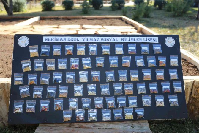 Dokumapark’ta Ata Tohumları Toprakla Buluştu