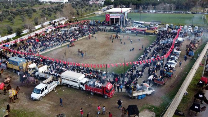 Sultanhisar’da 180 Pehlivan Deve Güreş Tuttu