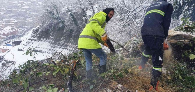 Çatıların Üzerine Düşen Ağaçlara Temizleme Ve Budama Çalışması Yapıldı