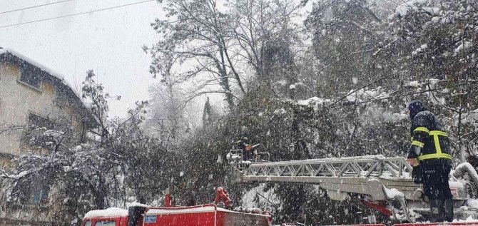 Çatıların Üzerine Düşen Ağaçlara Temizleme Ve Budama Çalışması Yapıldı