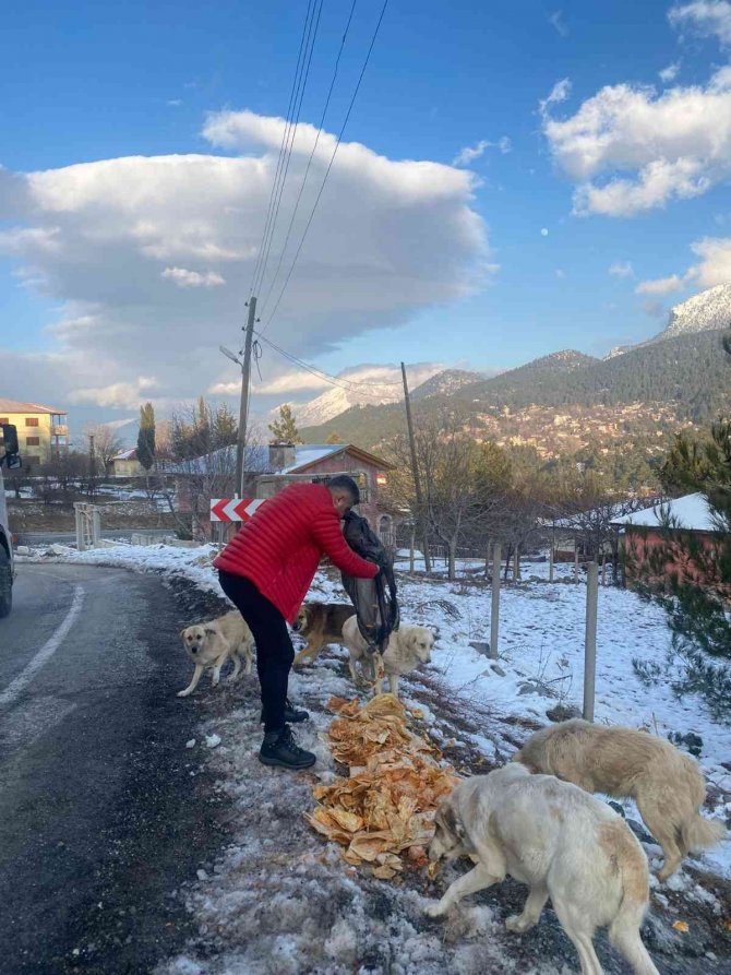 "Piton Döner" Karda Aç Kalan Sokak Köpeklerinin Yanında