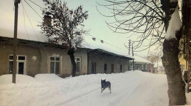 Tufanbeyli Sibirya Gibi, İşçi Servisi Tipide Yolda Kaldı