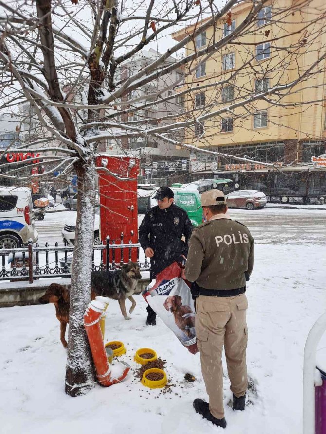 Polis Ekipleri Zorlu Kış Şartlarında Sokak Hayvanlarını Unutmadı