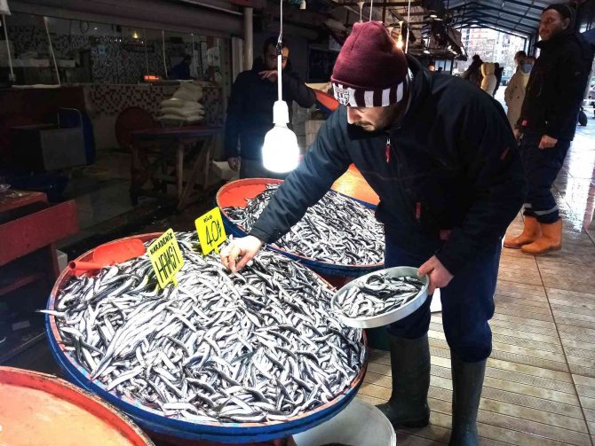 Kulağına Kar Suyu Kaçan Hamsi Tezgahlarda Yerini Aldı
