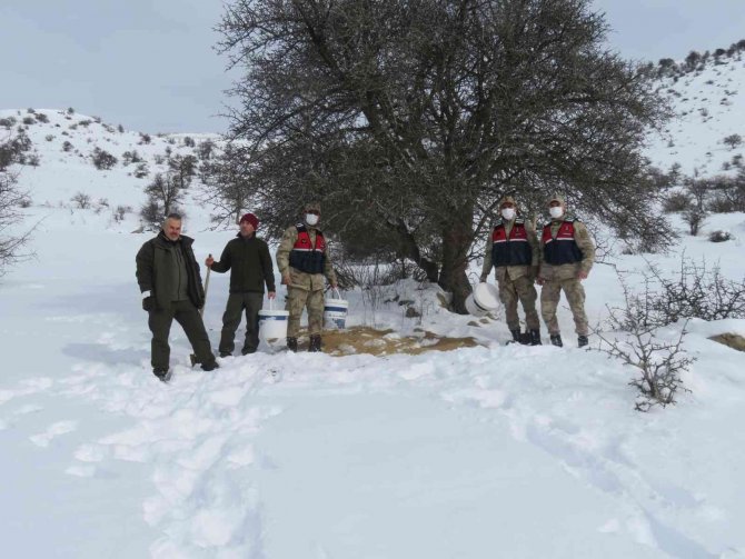 Yoğun Kar Yağışı Sonrası Yaban Hayvanları Unutulmadı