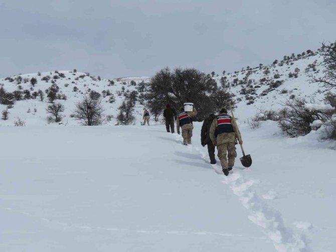 Yoğun Kar Yağışı Sonrası Yaban Hayvanları Unutulmadı