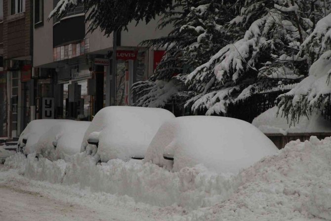 Bingöl’de 281 Köy Yolu Ulaşıma Kapandı