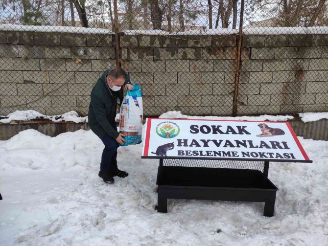 Güroymak Belediyesi Sokak Hayvanlarına Sahip Çıktı