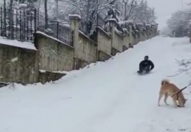 Kayarken 4 Metre Havalanarak Ağaca Böyle Çarptı