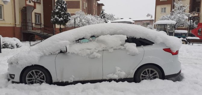 Kar Yağışına Dayanamayan Ağaçlar Kökünden Sökülerek Devrildi