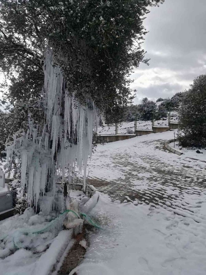 Patlayan Çeşme Ağaçta Buz Sarkıtları Oluşturdu