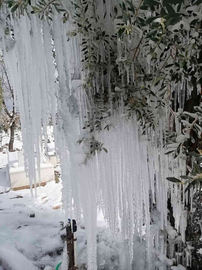 Patlayan Çeşme Ağaçta Buz Sarkıtları Oluşturdu