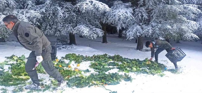 Yaban Hayatına 15 Ton Yem Bırakıldı