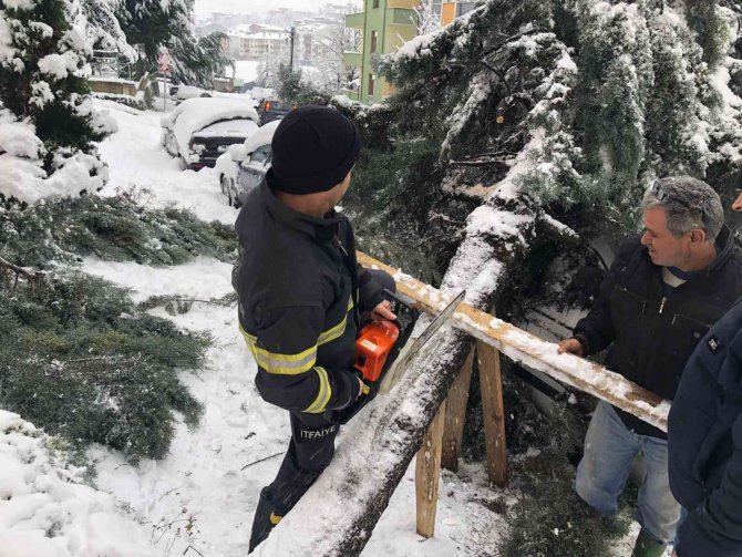 Kar Yağışına Dayanamayan Ağaç, Otomobilin Üzerine Devrildi