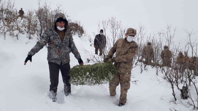 Jandarma Ekipleri Sokak Ve Yaban Hayvanlarını Unutmadı