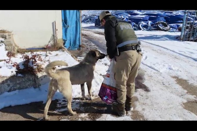 Polis Ekipleri Yaban Hayvanlarını Unutmadı