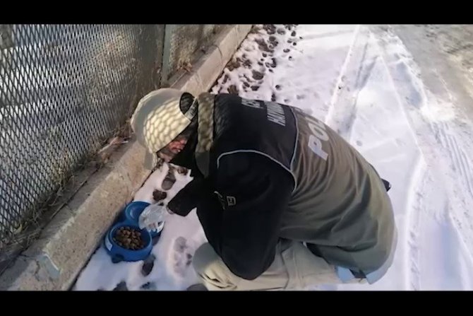 Polis Ekipleri Yaban Hayvanlarını Unutmadı