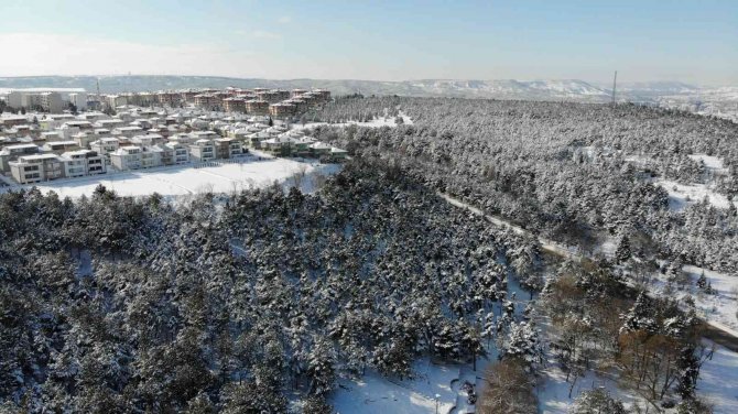 Gökyüzünün Maviliği Beyaz Örtüyle Buluştu