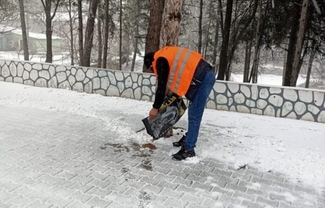 Gediz’de Sokak Hayvanları Unutulmadı