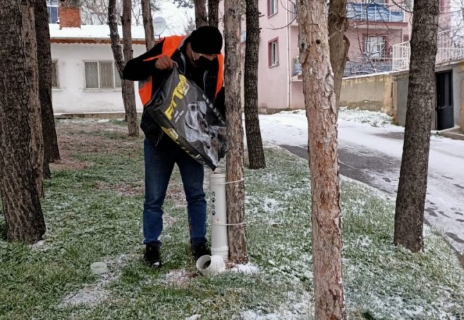 Gediz’de Sokak Hayvanları Unutulmadı
