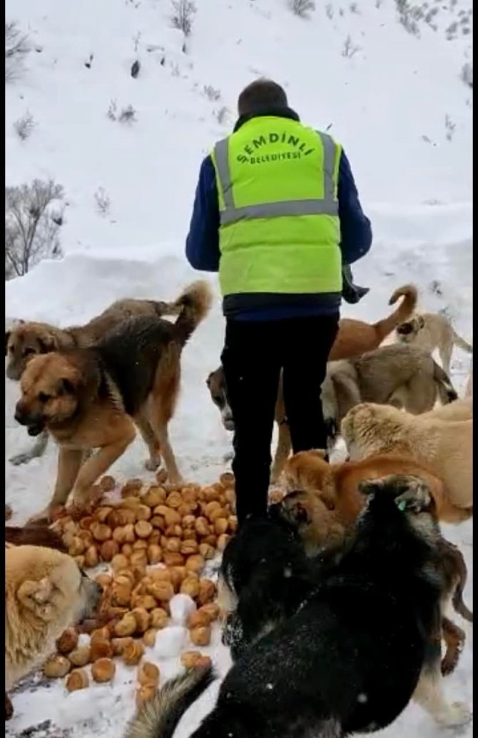 Şemdinli’de Can Dostlar Unutulmadı