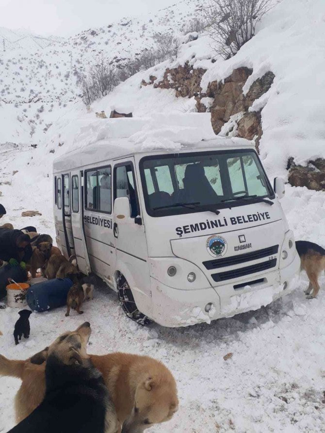 Şemdinli’de Can Dostlar Unutulmadı