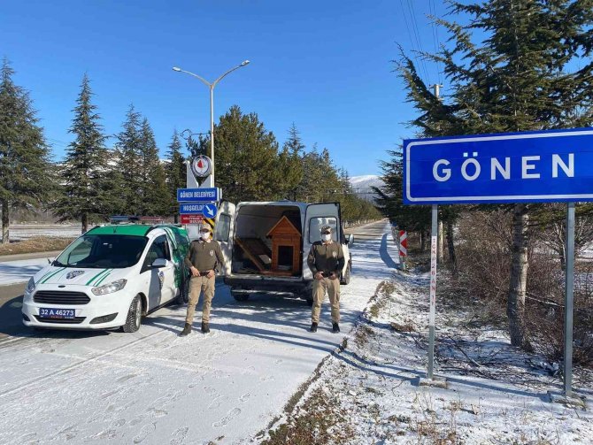 Haydi̇ Ekipleri Yeni Doğum Yapan Anne Ve 4 Yavru Köpeğe Sahip Çıktı
