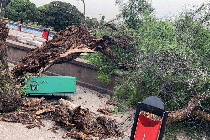 İ̇zmir İ̇tfaiyesi 11 Bin 718 Yangınla Mücadele Etti