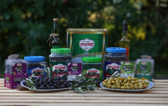 Zeytinde Her Lokmanın Bir Anlamı Var