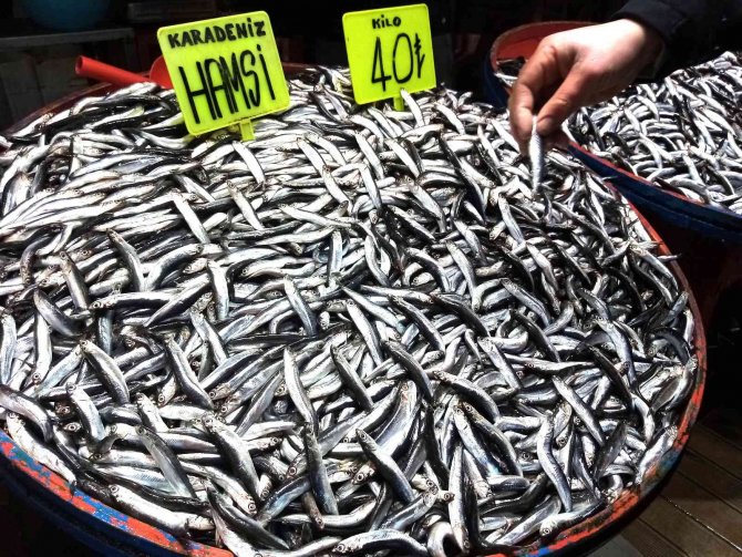 Kulağına Kar Suyu Kaçan Hamsi Tezgahlarda Yerini Aldı