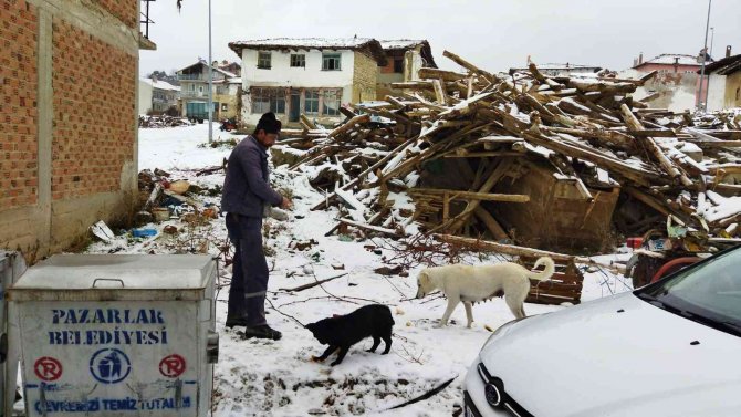 Sokak Hayvanları İçin Doğaya Yem Bırakıldı