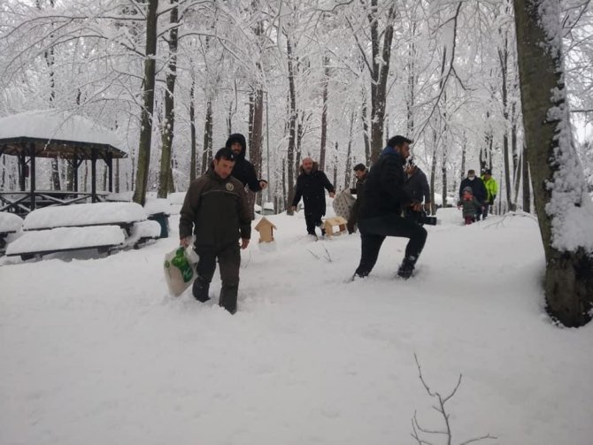 Hayvanlar İçin Doğaya Yem Bırakıldı