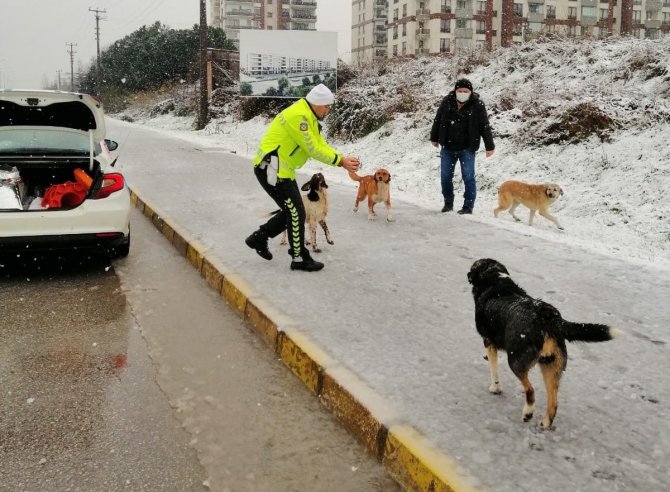 Trafik Polisleri Sokak Hayvanlarını Besledi