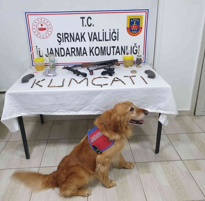 Şırnak’ta Kaçakçılık Operasyonu: 72 Gözaltı