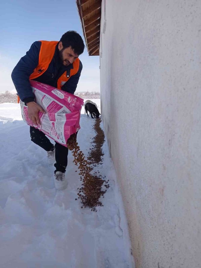 Belediye Sokak Hayvanlarını Unutmadı