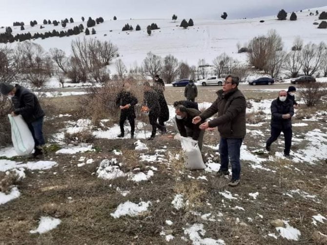 Adana’da Yaban Hayvanlarına Yem Desteği
